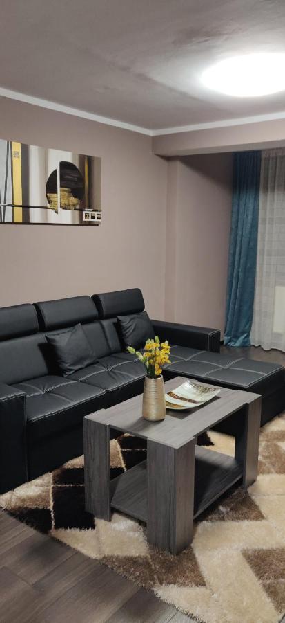 Home Apartament Braşov Extérieur photo