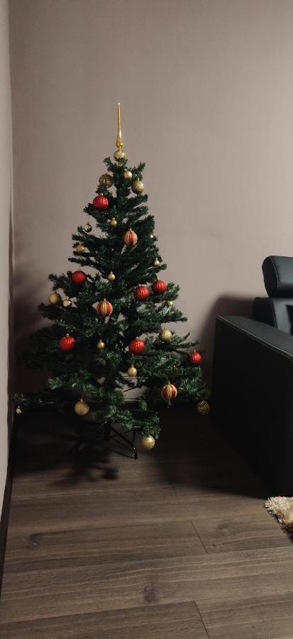 Home Apartament Braşov Extérieur photo